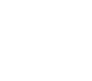 XL Energy